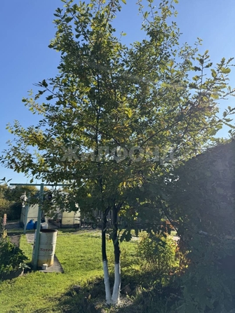 
  Продается дом, 53.8 м², село Сокур
. Фото 26.