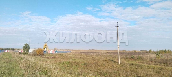 
  Продается земельный участок, 10 соток, рабочий поселок Колывань
. Фото 1.