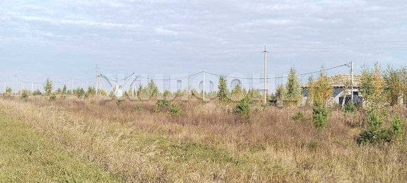 
  Продается земельный участок, 10 соток, рабочий поселок Колывань
. Фото 2.