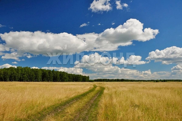 
  Продается земельный участок, 4260 соток, село Вагайцево
. Фото 2.