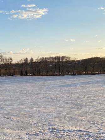 
  Продается земельный участок, 30.27 соток, село Сокур
. Фото 1.