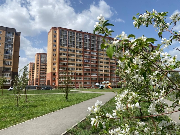 
  Продается 2-комн. квартира, 55.59 м², ЖК Дивногорский, дом 44
. Фото 5.
