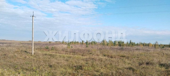 
  Продается земельный участок, 10 соток, рабочий поселок Колывань
. Фото 1.