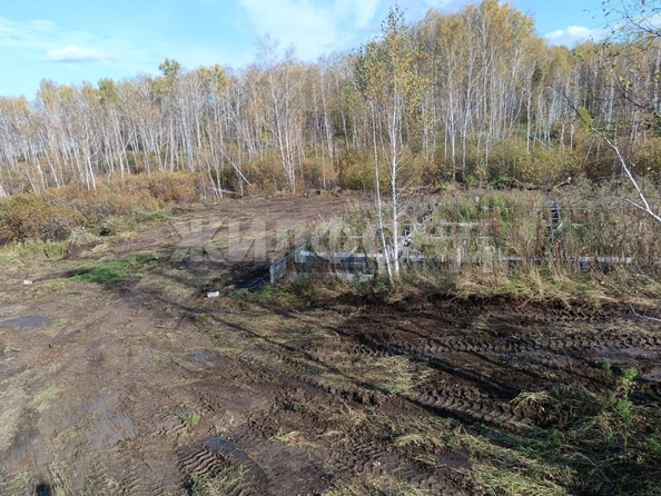 
  Продается земельный участок, 10 соток, СНТ Облепиха (Станционный сельсовет)
. Фото 7.