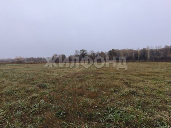 
  Продается земельный участок, 9.4 соток, СНТ Романтик
. Фото 2.