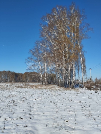 
  Продается земельный участок, 8 соток, СНТ Романтик
. Фото 2.