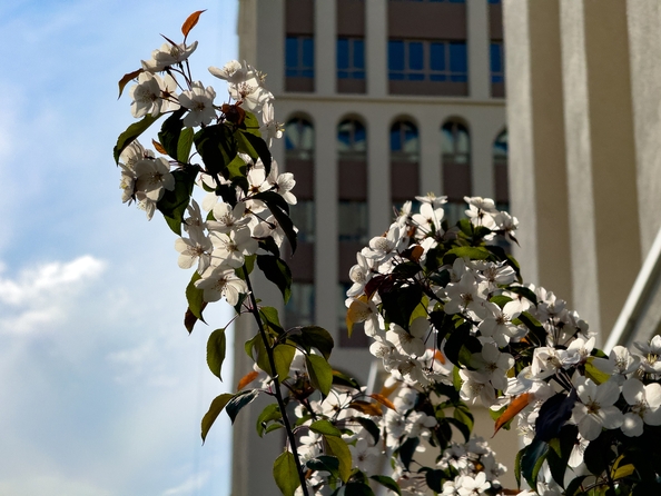 
  Продается 2-комн. квартира, 51.89 м², ЖК Balance (Баланс), 3 очередь
. Фото 13.