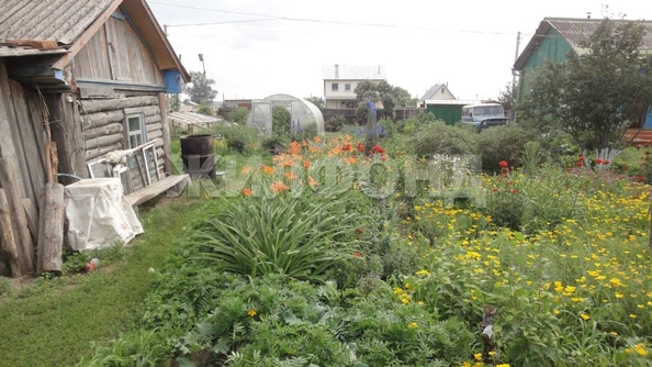 
  Продается земельный участок, 25 соток, село Чингис
. Фото 9.