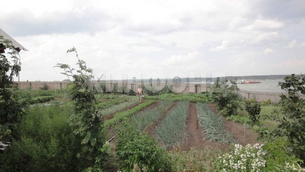 
  Продается земельный участок, 25 соток, село Чингис
. Фото 13.