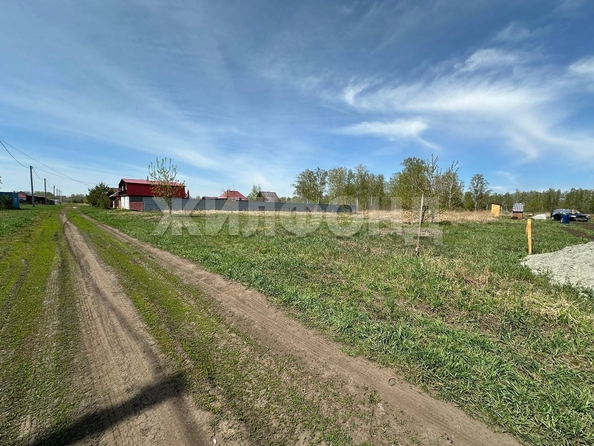 
  Продается земельный участок, 15.6 соток, село Береговое
. Фото 3.