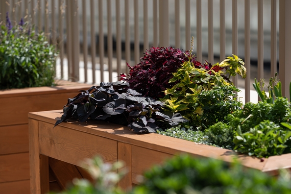 
  Продается 2-комн. квартира, 50.98 м², ЖК Balance (Баланс), 3 очередь
. Фото 14.