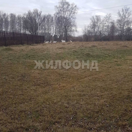 
  Продается земельный участок, 15 соток, деревня Пристань-Почта
. Фото 3.