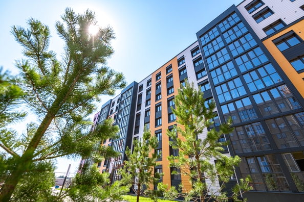 
  Продается 2-комн. квартира, 50 м², ЖК Фламинго, дом 21
. Фото 11.