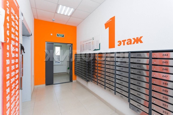 
  Продается студия 23.6 м², в ЖК Матрешкин двор, дом 1 . Фото 12.