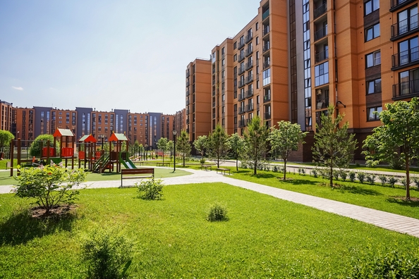 
  Продается 1-комн. квартира 27.3 м², в ЖК Цивилизация, дом 2. Фото 6.