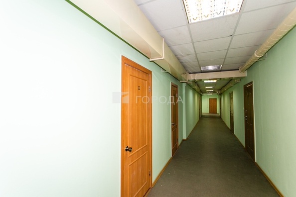 
  Сдается офис 55.5 м². Фото 4.