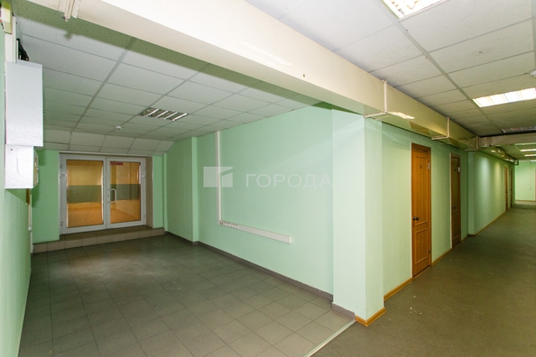 
  Сдается офис 133.2 м². Фото 16.