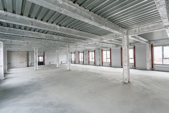 
  Сдается офис 300 м². Фото 12.