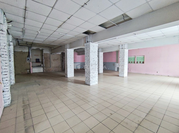 
  Сдается универсальное помещение 234 м². Фото 6.