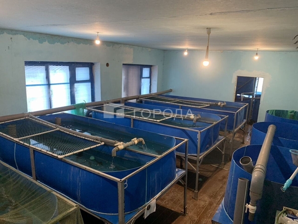 
  Продается универсальное помещение 900 м². Фото 9.