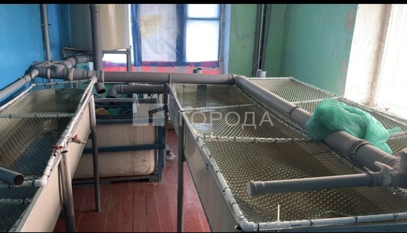 
  Продается универсальное помещение 900 м². Фото 14.
