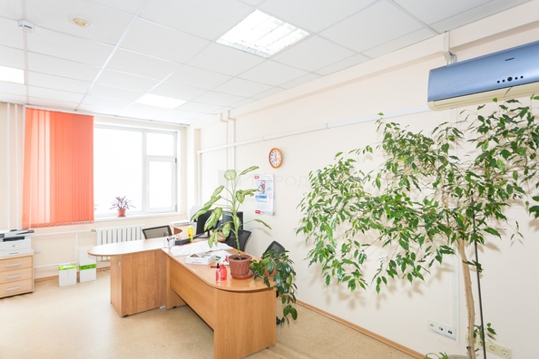 
  Сдается офис 430 м². Фото 8.