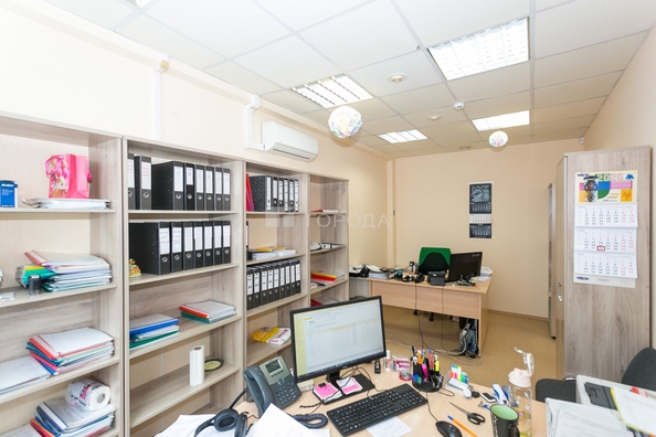 
  Сдается офис 430 м². Фото 13.