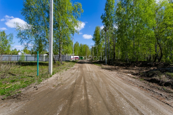 
  Продается земельный участок 10 соток. Фото 2.