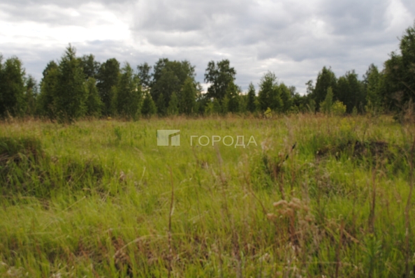 
  Продается земельный участок 1330.8 соток. Фото 3.