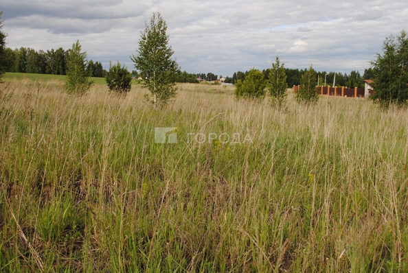 
  Продается земельный участок 1330.8 соток. Фото 10.