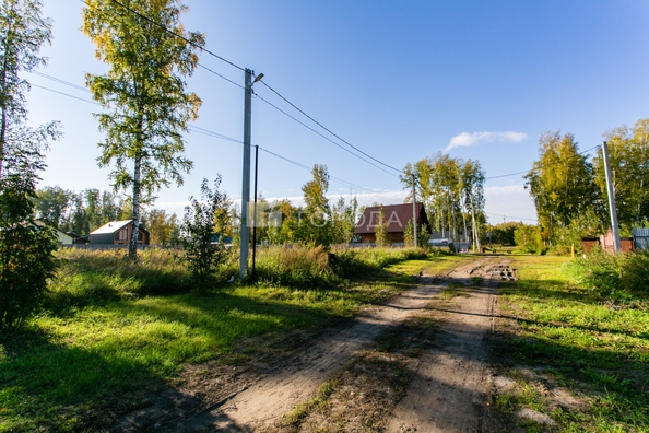 
  Продается земельный участок 8 соток. Фото 5.