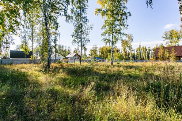 
  Продается земельный участок 8 соток. Фото 11.