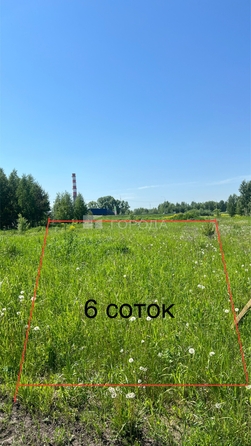 
  Продается земельный участок 6 соток. Фото 9.