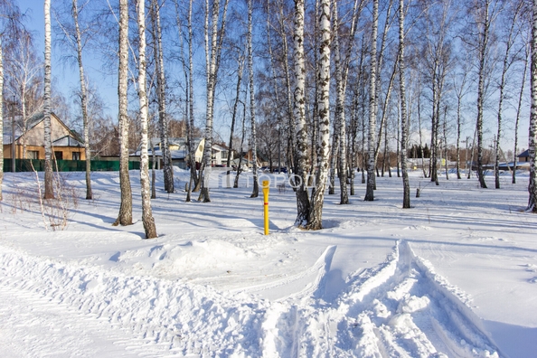 
  Продается земельный участок 8 соток. Фото 8.