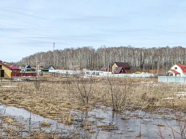
  Продается земельный участок 10 соток. Фото 6.