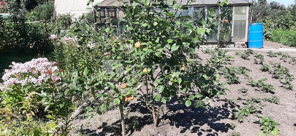 
  Продается коттедж 32 м². Фото 17.