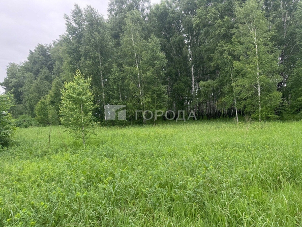 
  Продается земельный участок 17 соток, в КП Благое. Фото 3.