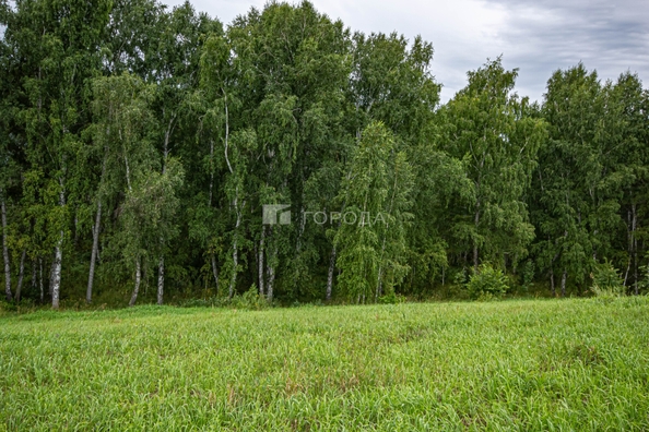 
  Продается земельный участок 5.1 соток. Фото 14.