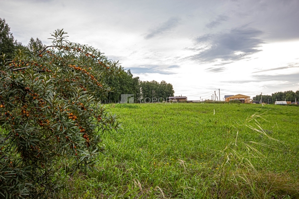 
  Продается земельный участок 5.1 соток. Фото 16.