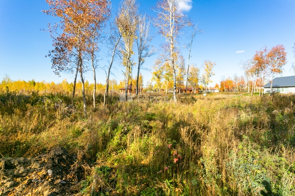 
  Продается земельный участок 5.8 соток. Фото 8.