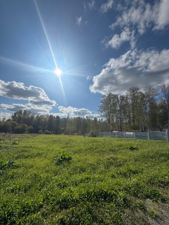 
  Продается земельный участок 10.75 соток, в КП Salair Park. Фото 1.