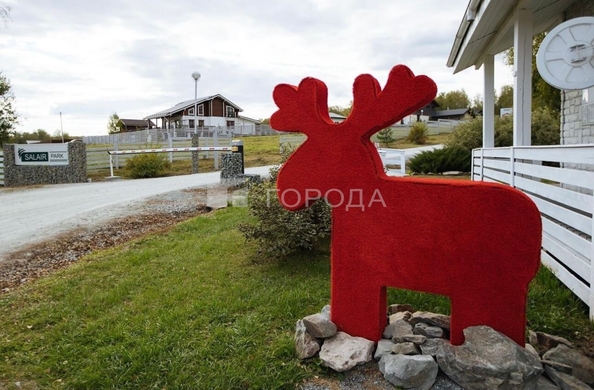 
  Продается земельный участок 10.75 соток, в КП Salair Park. Фото 6.