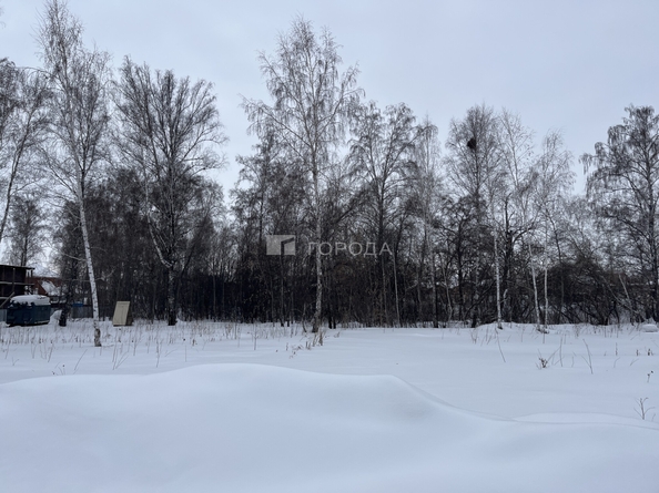 
  Продается земельный участок 10.3 соток, в КП Благодатный. Фото 7.
