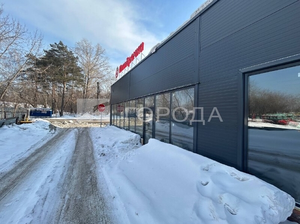 
  Сдается торговая площадь 69 м². Фото 7.