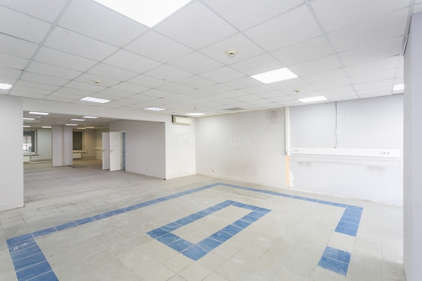 
  Сдается универсальное помещение 130.1 м². Фото 5.