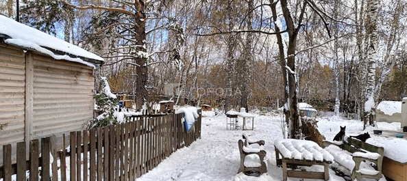 
  Продается земельный участок 34.5 сотки. Фото 15.