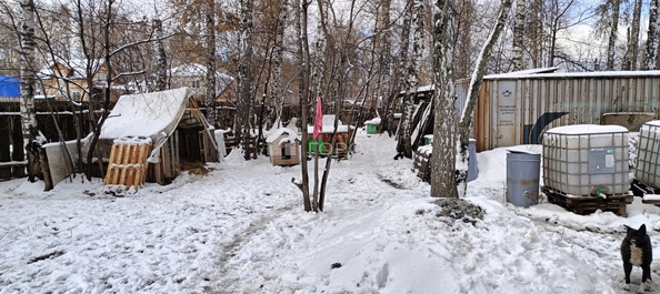 
  Продается земельный участок 34.5 сотки. Фото 18.