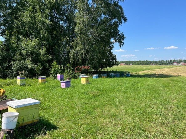 
  Продается универсальное помещение 50 м². Фото 24.
