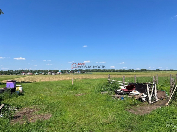 
  Продается земельный участок 450 соток. Фото 3.