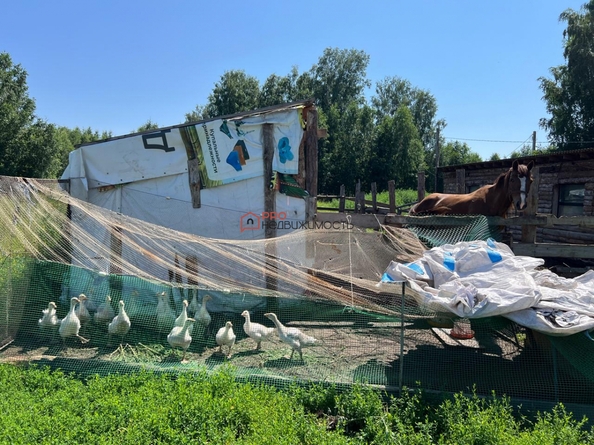 
  Продается земельный участок 450 соток. Фото 14.